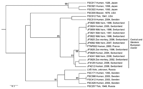 Genetic relationships between Francisella tularensis subsp. holarctica strains isolated in Switzerland and strains of wider geographic origin. The unweighted pair group method with arithmetic mean phylogram is based on the combined Ftind and multiple-locus variable-number tandem repeat analysis. Bootstrap values &gt;80% are given at the respective nodes and were calculated by using 10,000 iterations. Scale bar indicates genetic distance.