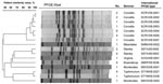 Thumbnail of Dendrogram showing the clonal relationships among 36 isolates of Salmonella enterica collected from travelers returning to Finland from Thailand or Malaysia, 2003–2007. These isolates showed the nonclassical quinolone resistance phenotype (i.e., reduced susceptibility to ciprofloxacin [MIC &gt;0.125 µg/mL] and susceptibility or low-level resistance to nalidixic acid [MIC &lt;32 µg/mL]). No., number of Salmonella isolates belonging to a certain pulsed-field gel electrophoresis (PFGE)