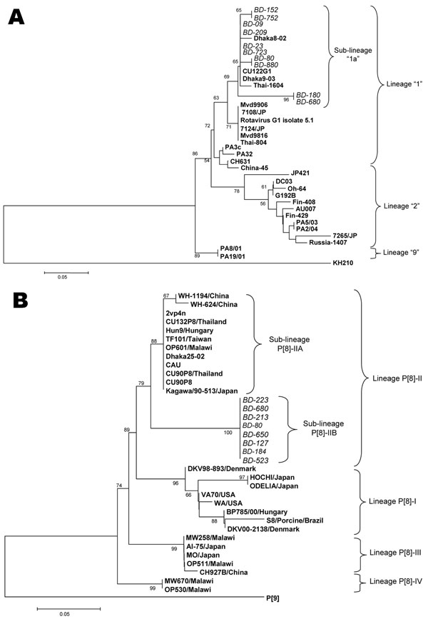 Phylogenetic analysis of the nucleotide sequences of the VP7 and VP4 genes of untypeable group A rotavirus strains (RAV) from Bangladesh. A) Neighbor-joining phylogenetic tree based on nucleotide sequences of the VP7 encoding genes for untypeable RAV strains. B) Neighbor-joining phylogenetic tree based on nucleotide sequences of the VP4 encoding genes for untypeable RAV strains. The numbers in the branches indicate the bootstrap values. Reference strains of RAV G1 and P[8] strains were selected