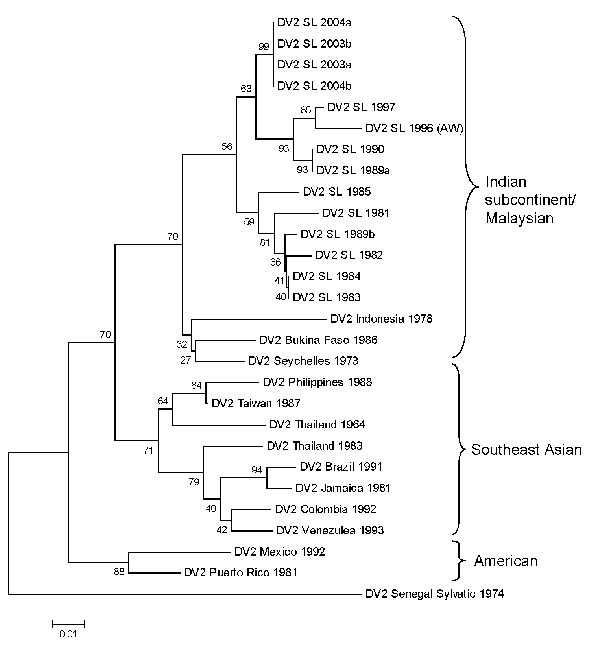 Phylogram of dengue serotype 2 viruses (DENV-2) from Sri Lanka (SL), 1981–2004, and other DENV-2 viruses. The tree is based on a 239-bp fragment for positions 2311–2550 coding for amino acids at the envelope protein/nonstructural protein 1 junction. The tree was constructed as described in Figure 4 and was rooted by using a DENV-2 sylvatic strain. Classification and naming of different DENV-2 genotypes is based on the report by Rico-Hesse (5). Scale bar represents number of base substitutions pe