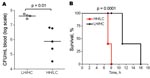 Thumbnail of Murine toxic shock model (high inoculum). Groups of 5 mice were inoculated intraperitoneally with 5–7 × 107 CFU of low hemolytic (LH)/high encapsulation (HC) or high hemolytic (HH)/low encapsulation (LC) group B streptococcal isolates per mouse. A) Level of bacteremia assessed after 6 h. Horizontal lines indicate the median. B) Kaplan-Meier survival plot.