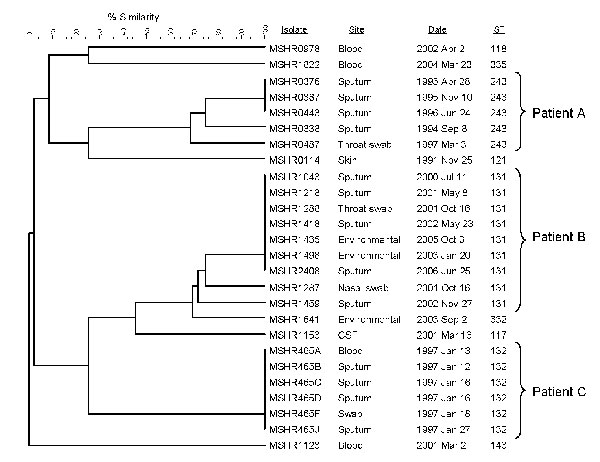 Dendrogram showing 4-locus multilocus variable number tandem repeat analysis profiles for isolates from 3 patients with melioidosis, with isolate number and multilocus sequence typing sequence type (ST) listed (see text for details). Six isolates used to calibrate the dendrogram are indicated by asterisks in Figure 1 and listed in Table 2. CSF, cerebrospinal fluid.