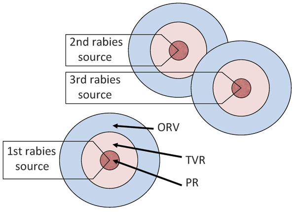 Point infection control (PIC) tactic. Concentric rings around the location of a rabid animal represent vector population reduction (PR), trap–vaccinate–release (TVR), and ORV zones (12). Each new source leads to repeated, overlapping ORV, TVR, and PR rings. Potential savings are assumed within the zones and for assumed distances beyond the zones.