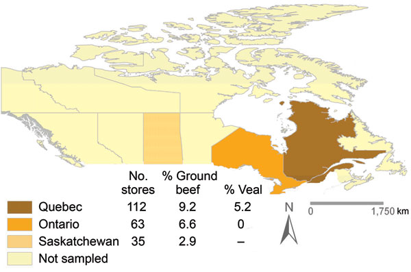 Distribution of retail grocery stores sampled (n = 210) and proportion with contaminated meat. The overall proportion of stores with &gt;1 meat package contaminated with Clostridium difficile was 5.7%. No statistical differences were observed when comparing the proportions of ground beef contamination in Québec, Ontario, and Saskatchewan, Canada (p&gt;0.2). No comparisons for veal chops were made because Québec was the main source of this commodity; veal from milk-fed calves was not available in