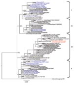 Thumbnail of Phylogenetic tree constructed by Bayesian analysis of the hemagglutinin gene segment of representative influenza viruses A (H5N1) from Africa, Europe, and the Middle East. Taxon names of the Nigerian viruses isolated during 2006–2007 are marked in blue, 2008 isolates in red. Posterior probabilities of the clades are indicated above the nodes. Scale bar indicates number of nucleotide substitutions per site.