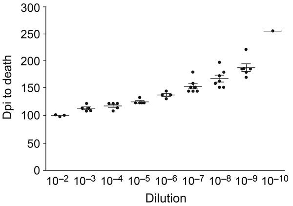 Example of titration curves for all homogenates titered. The curve shown is Djungarian second-passage brain homogenate with 3–7 hamsters per dilution. Error bars indicate SEM. Dpi, days postinoculation.