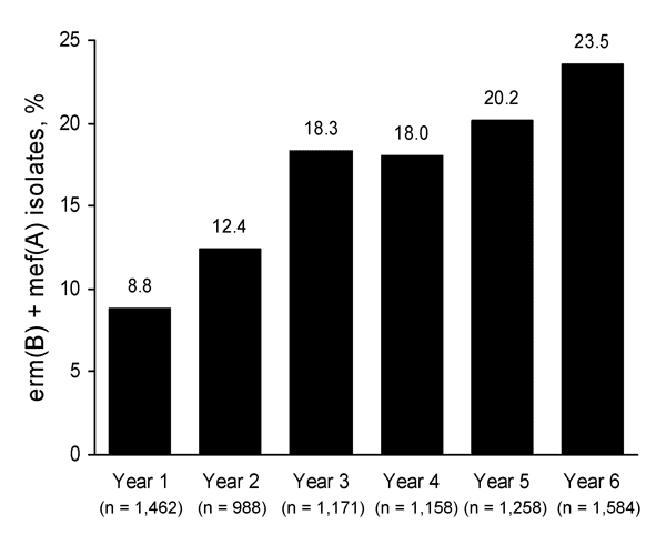 Increased prevalence in the erm(B) + mef(A) macrolide resistance genotype from year 1 (2000–2001) to year 6 (2005−2006), Prospective Resistant Organism Tracking and Epidemiology for the Ketolide Telithromycin, United States surveillance study.