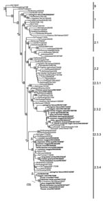 Thumbnail of Phylogenetic relationships of the hemagglutinin genes of representative influenza viruses. Numbers above and below the branch nodes indicate neighbor-joining bootstrap values &gt;70% and Bayesian posterior probabilities &gt;95%, respectively. Not all supports are shown due to space constraints. Analyses were based on nt 49–1,677 and the tree rooted to duck/Hokkaido/51/1996. Numbers to the right of the figure refer to World Health Organization influenza (H5N1) clade designations (App