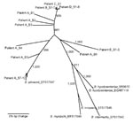 Thumbnail of Neighbor-joining (NJ) phylogeny of NADH oxidase (nox) sequences of Brachyspira pilosicoli from 5 cholera patients (A–E). The nox sequences were PCR amplified, cloned, and sequenced from each patient (individual clones are appended _SX). Published sequences from known species are included for reference. NJ analysis was performed by using an NJ model and 1,000 bootstraps. Bootstrap values &gt;800 are presented next to nodes. The scale bar indicates a 2% bp change (contiguous sequence