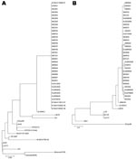 Thumbnail of Phylogenetic trees generated on the basis of nucleotide of the M gene region (A) and the partial S gene region (B). Trees constructed with neighbor-joining method by using MEGA 3.1 (DNAStar Inc., Madison, WI, USA). Horizontal branch lengths are proportional to genetic distances between Porcine epidemic diarrhea virus (PEDV) strains.