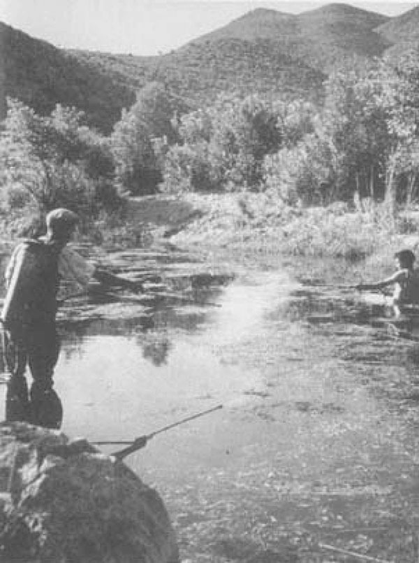 Larviciding. Photograph by Wolfgang Suschitzky. Reprinted with permission from Istituto Etnografico della Sardegna.