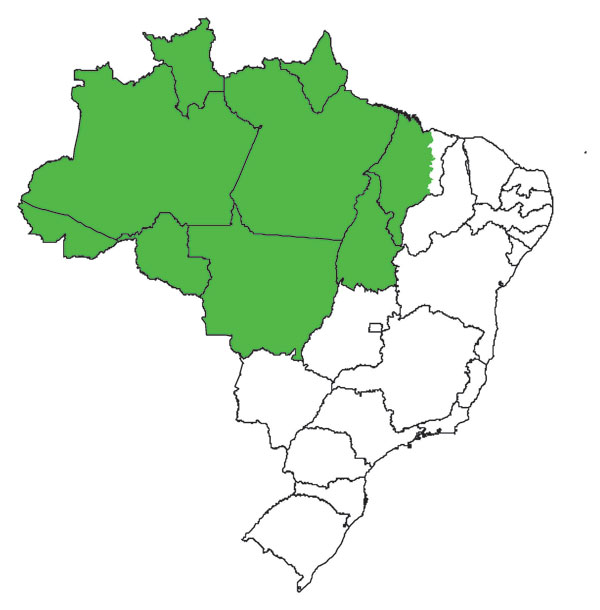 Map of Brazil showing the Amazon region (green).