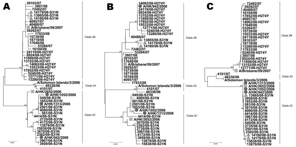 Phylogenetic analysis of the hemagglutinin gene (A), neuraminidase gene (B), and matrix gene (C) of influenza virus (H1N1). The 3 clade 2C viruses with double resistance are indicated by circles, the 3 clade 2B viruses with amantadine resistance are indicated by triangles, and A/Brisbane/59/2007 and A/Hong Kong/2652/2006 are indicated by squares. Scale bars indicate 0.5% difference in nucleotide sequence.