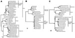 Thumbnail of Phylogenetic relationships among viruses detected in Peru and other encephalomyocarditis viruses (EMCVs), and their relationship to the Theiler and Theiler-like cardioviruses. A) Viral protein 1 (VP1); 737 nucleotides (90% of the VP1 gene). The missing portion of the VP1 gene is at the 3’ end. B) 5′ nontranslated region; 145 nucleotides consisting of a highly conserved portion of the internal ribosome entry site, sequence coordinates 558 to 699 relative to EMCV GenBank accession no.