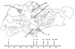 Thumbnail of Geographic and temporal distribution of 123 indigenous chikungunya cases in Singapore. Shading indicates the 7 cluster areas where entomologic investigation was carried out. Data include cases reported through September 2008. The arrows in the timeline shown below the map indicate the months of occurrence of the local outbreaks from the beginning of January to the end of September 2008. BSP, Bah Soon Pah Road; FR, Farrer Road; KW, Kranji Way; LI, Little India; ME, Mandai Estate; QS,