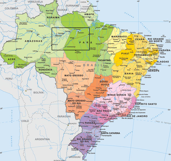 Map of Brazil showing study area (black box) in Amazonas (Manaus) and Para (Mapeura region) States. Printed with permission of the Instituto Brasileiro de Geografia e Estatística.