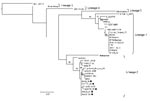 Thumbnail of Maximum-likelihood comparison of the partial NS5 gene of West Nile virus (WNV) strains identified in horses in South Africa in 2008 with representative sequences of other WNV lineages. Bootstrap statistics are shown on the branches; only values &gt;70% are included. Scale bar indicates 0.07 nt changes. Japanese encephalitis virus (JEV) was used as an outgroup. Black diamonds, WNV strains identified in horses in South Africa in the present study; white diamonds, WNV strains isolated