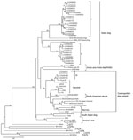 Thumbnail of Neighbor-joining phylogenetic tree of 60 specimens of rabies virus (RABV) from the People’s Republic of China, 2005–2007, and different genotypes (GTs) from other areas based on a 720-nt (nt 704–nt 1423) nucleoprotein (N) gene fragment of RABV. Numbers at each node indicate degree of bootstrap support; only those with support &gt;70% are indicated. Scale bar indicates nucleotide substitutions per site.