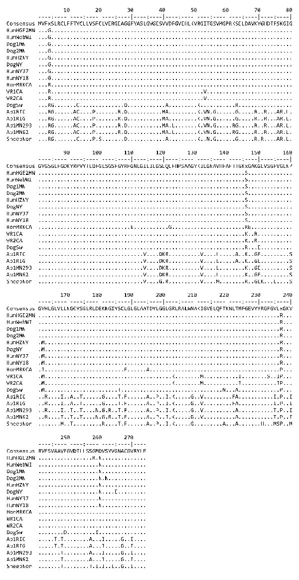 Diversity in the amino acid sequences encoded by p44ESup1/omp-1n in US and European strains of Anaplasma phagocytophilum. All strains are from the United States (the state is indicated in the strain designation) except for the strain from the sheep from Norway (SheepNor) and the dog from Sweden (DogSw). Human-origin strains are HZNY, NY18, NY37, WebWI, and HGE2MN; dog strains are Dog1MN, Dog2MN, and DogNY; wood rat (Neotoma fuscipes) strains are WR1CA and WR2CA; the horse strain is HorMRKCA; Ap-