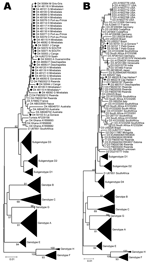 Thumbnail of Phylogenetic analysis of selected sequences clustering with subgenotype D4 (A) or D3 (B), based on the S fragment, including potential mixed or recombinant strains (*). Diamonds indicate Haiti sequences; squares indicate Rwanda strains. Scale bar indicates nucleotide substitutions per site.