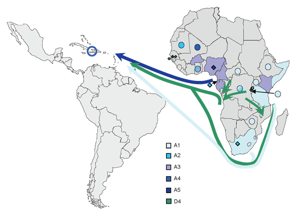 Distribution of hepatitis B virus A subgenotypes and D4 (only in Rwanda) in Africa and their potential routes of spread toward Haiti (color-coded arrows). Colored dots indicate African countries with &lt;10 A strains available; full color indicates countries with &gt;90% dominance of 1 subgenotype; or a 60%–90% predominance of 1 subgenotype, with minority subgenotypes shown as diamonds. Subgenotypes other than A1 and D4 are not shown for Rwanda. Sequences included were obtained from GenBank and 