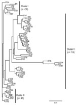 Thumbnail of Phylogenetic analysis of flaA, pilE, asd, mip, mompS, proA, and neuA concatenated sequences from the 62 Legionella pneumophila serogroup 1 sequence types (STs) identified in Ontario. The tree was constructed with ClustalW2 (www.ebi.ac.uk/Tools/clustalw2/index.html) and the neighbor-joining method with 1,000 bootstrap replicates. Scale bar indicates genetic distances between sequences. STs in boldface were detected in outbreaks.