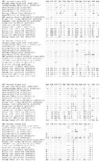 Thumbnail of Multiple-sequence alignment of a fragment of the 3? untranslated region of coronaviruses detected in wild birds in this study and other previously published group 3 coronavirus sequences from wild birds and a beluga whale. Viruses detected by this study are marked with an asterisk. GenBank accession numbers for all sequences are shown in parentheses. Identical nucleotides are marked with a period (.). Sequences were aligned using the Clustal program within the MEGA 4.0 software pack