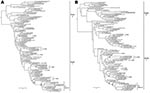 Thumbnail of Phylogenetic relationships of the hemagluttinin (HA) (A) and neuraminidase (NA) (B) genes of 33 Cambodian strains and of representative influenza A viruses (H5N1). Trees were generated by Bayesian analysis using MrBayes v3.1 software (2). Numbers above and below branches indicate Bayesian posterior probability and maximum likelihood bootstrap values (PHYML v2.4 software, www.atgc-montpellier.fr/phyml), respectively. Analysis was based on nucleotides 28–1578 of the HA gene and 67 to