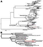 Thumbnail of A) Maximum likelihood phylogenetic tree of 264 complete envelope gene sequences of dengue virus serotype 2 (DENV-2). The different genotypes of DENV-2 and the isolates from Bhutan (red) are indicated. Scale bar indicates number of substitutions per site. B) Magnification of the part of the phylogeny where the Bhutan sequences (red) fall. The tree is midpoint rooted for clarity only, and all horizontal branch lengths are drawn to a scale of nucleotide substitutions per site. Bootstra