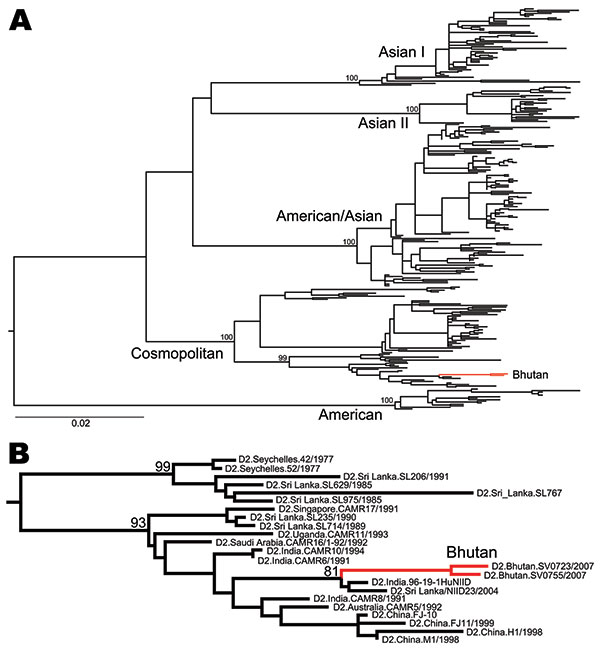 A) Maximum likelihood phylogenetic tree of 264 complete envelope gene sequences of dengue virus serotype 2 (DENV-2). The different genotypes of DENV-2 and the isolates from Bhutan (red) are indicated. Scale bar indicates number of substitutions per site. B) Magnification of the part of the phylogeny where the Bhutan sequences (red) fall. The tree is midpoint rooted for clarity only, and all horizontal branch lengths are drawn to a scale of nucleotide substitutions per site. Bootstrap support val