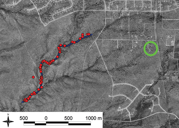 Distribution of rodent trapping stations along a hiking trail in Santa Fe County, New Mexico, USA. Each red circle indicates a single trapping site that had 3 traps. Trap stations (not shown) also were placed throughout the patients’ yard (green circle).