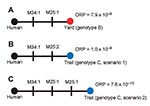 Thumbnail of Alternate infection source hypotheses for the plague cases in the persons who visited New York, New York, USA. Closed circles indicate genotypes; black, red, and blue circles indicate genotypes A, B, and C, respectively. Individual mutations are indicated as vertical lines on the comparisons and are labeled with the locus that mutated and the number of repeats involved in the mutations. Overall relative probabilities (ORP) based on Yersinia pestis mutation rates are presented for ea