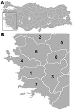 Thumbnail of A) Map of Turkey showing location of Aegean region (box). B) The 8 provinces in the Aegean region of Turkey that were studied for spatial and temporal incidence of rabies during 1998–2007. 1, Aydin; 2, Balikesir; 3, Denizli; 4, Izmir; 5, Kütahya; 6, Manisa; 7, Mugla; 8, Usak.