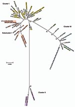Thumbnail of Minimum evolution tree. The tree was constructed using the matrix of pairwise differences between the 87 concatenated sequences for the 7 loci using maximum composite likelihood method for estimating genetic distances. Numbers are bootstrap values (1,000 replicates) &gt;70%. Lavender, invasive lymphogranuloma venereum (LGV); gold, noninvasive, nonprevalent sexually transmitted infection (STI) strains; red, trachoma strains; blue, noninvasive, highly prevalent STI strains; green, put