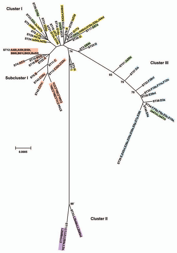 Minimum evolution tree. The tree was constructed using the matrix of pairwise differences between the 87 concatenated sequences for the 7 loci using maximum composite likelihood method for estimating genetic distances. Numbers are bootstrap values (1,000 replicates) &gt;70%. Lavender, invasive lymphogranuloma venereum (LGV); gold, noninvasive, nonprevalent sexually transmitted infection (STI) strains; red, trachoma strains; blue, noninvasive, highly prevalent STI strains; green, putative recombi