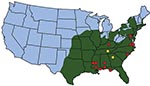 Thumbnail of Location of ticks, Rickettsia parkeri in ticks, and human cases of rickettsiosis in the United States. Green shading indicates approximate distribution of Amblyomma americanum ticks, which completely overlaps with the known or suspected distribution of A. maculatum. Yellow circles indicate locations where R. parkeri was detected in A. americanum ticks (this study). Red circles indicate locations of confirmed or suspected cases of R. parkeri infection in humans (11).