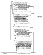 Thumbnail of Phylogenetic relationships of chikungunya virus (CHIKV) isolates from 14 imported cases of chikungunya, Taiwan, 2006–2009. The tree was constructed on the basis of partial envelope 1 (E1) nucleotide sequences (836 bp, nt positions 10264–11099 of the prototype CHIKV S27 genomic sequence) of 49 CHIKV strains. Sequences obtained in this study are indicated in boldface. CHIKV strains with the E1-A226V mutation are indicated. Genotypes are indicated on the right. Viruses were identified