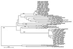 Thumbnail of Phylogenetic tree based on 387 nucleotide sequences of the 5′ end of open reading frame 2 (encoding viral protein 1) of norovirus strains from Royal Liverpool Children’s National Health Service Foundation Trust (Alder Hey Hospital), Liverpool, UK. For each strain the source (healthcare-associated [HA] or community-acquired [CA]), specimen number, month/year of detection, and the name of the strain is indicated. Reference strains included on the tree are GII/1 U07611 Hawaii/71/US, GI