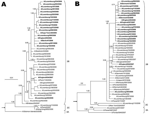 Phylogeny of A) neuraminidase (NA, complete gene) and B) polymerase complex 2 (C-terminal 1,300 nt) genes for selected influenza viruses A (H1N1) from Luxembourg and other countries. Subclades are identified to the right of each tree. The best-approximating model of nucleotide evolution was the general time reversible model with a gamma rate distribution and this model was used for the Bayesian analysis. Markov chain Monte Carlo sampling was implemented in MrBayes version 3 (8). In all cases, 6