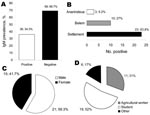 Thumbnail of A) Prevalence of immunoglobulin (Ig) M against Mayaro virus in the studied population. B) Prevalence of IgM against Marayo virus according to area of residence. C) Patient sex. D) Patient work activities.