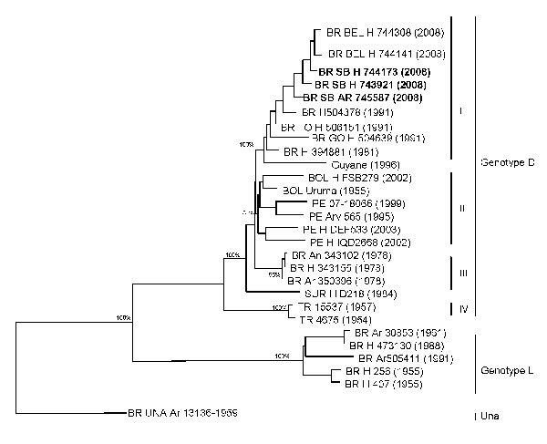 Comparison of genetic relationships among the Marayo virus strains sequenced in this study with those isolated in different areas of South America, periods of time, and hosts. Numbers above and within parentheses correspond to bootstrap support values for the specific clades. The Una virus was used as an outgroup to root the tree. BR, Brazil (BEL, Belém; SB, Santa Barbara [bold]; TO, Tocantins state); BOL, Bolivia; PE, Peru; SUR, Suriname; H, human; Ar, arthropod. Numbers in parentheses correspo