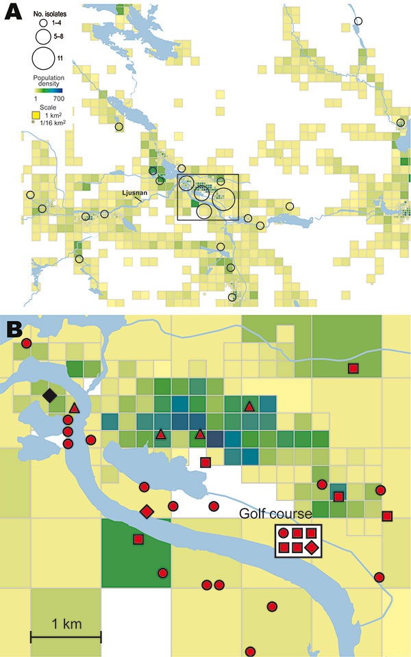 A) Spatial distribution of 56 places of tularemia transmission in Ljusdal, Sweden, 1995–2005, overlaid on a map with color-coded demographic data based on residential addresses. B) Disease cluster in an area of 25 km2 along the Ljusnan River in Ljusdal. Reported places of disease transmission and corresponding bacterial genotypes are shown. The 33 Francisella tularensis isolates belong to genetic group 1e and are of genotype ID 15 (red) or genotype ID 16 (black). Place of disease transmission wa