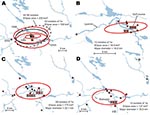 Thumbnail of A) Directional distributions of tularemia transmission sites in Ljusdal, Sweden, by outbreak year (red ellipses). The Francisella tularensis isolates recovered from patients in Ljusdal were genetically monomorphic, with 53/56 isolates belonging to genetic subgroup 1e (solid black ellipse). The dashed black ellipse represents the distributions of all 56 isolates. Each ellipse represents a 1 standard deviation distribution around the mean centers of occurrence (starred). B) Distributi