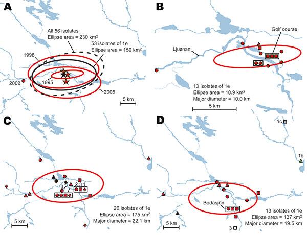 A) Directional distributions of tularemia transmission sites in Ljusdal, Sweden, by outbreak year (red ellipses). The Francisella tularensis isolates recovered from patients in Ljusdal were genetically monomorphic, with 53/56 isolates belonging to genetic subgroup 1e (solid black ellipse). The dashed black ellipse represents the distributions of all 56 isolates. Each ellipse represents a 1 standard deviation distribution around the mean centers of occurrence (starred). B) Distributions of 13 iso