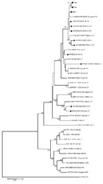 Thumbnail of Phylogenetic relationships between 3 French strains and 34 worldwide enterovirus 71 GenBank-selected strains based on alignment of complete viral protein (VP) 1 coding sequences. The prototype coxsackievirus A16 (CoxA16-G10) was used as the outgroup virus. The phylogenetic tree was constructed by the neighbor-joining method by using MEGA4 (www.megasoftware.net). Bootstrap values (&gt;70%) derived from 1,000 samplings are shown at the nodes of the tree. Phylogenetic separation of C2