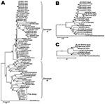 Thumbnail of Phylogenetic tree constructed by using the neighbor-joining method and evaluated using the interior branch test method with MEGA4 software (www.megasoftware.net). Percentage of bootstrap support is indicated at each node. GenBank accession number, source, and country of origin are indicated. A) Phylogenetic tree constructed based on the 519-nt segment in the 3C/D junction region, a genotype C Aichi virus strain is included as an outgroup. Phylogenetic trees constructed from the caps