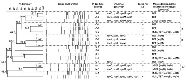 Dendrogram and pulsed-field gel electrophoresis (PFGE) profiles of group C streptococci (Streptococcus dysgalactiae subsp. dysgalactiae) subclinical mastitis isolates from 8 dairy herds, Portugal. PFGE type-subtype, virulence genotype, antimicrobial drug resistance phenotypes, and genotypes of each isolate are indicated. The dendrogram was produced by using Dice coefficients and unweighted pair group method using arithmetic averages. Default clustering settings of 0.00% optimization (i.e., the r