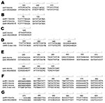 Thumbnail of Alignments of bovine group C streptococci (Streptococcus dysgalactiae subsp. dysgalactiae) alleles of virulence genes from 8 dairy herds, Portugal, with sequences from the National Center for Biotechnology (Bethesda, MD, USA) database showing base differences between sequences. The alignments were created by using BioEdit sequence alignment editor (www.mbio.ncsu.edu/BioEdit/bioedit.html). Nucleotide differences are shown in boldface. A) spd1 (99% maximum identity); B) speK (99% maxi