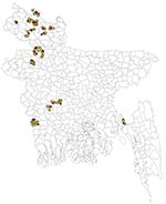 Thumbnail of Locations of 25 backyard farms where outbreaks of highly pathogenic avian influenza A virus (H5N1) infection occurred during March–November 2007 (red stars) and 75 control backyard farms (yellow circles), Bangladesh.