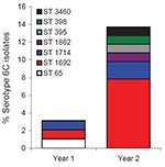 Thumbnail of Genotypes of serotype 6C pneumococci isolated from children in 2006-2007 (year 1) and 2007-2008 (year 2), United Kingdom. ST, sequence type.